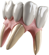 Nöbetçi Dişçi | Sancaktepe - Ümraniye - Üsküdar - Bahçelievler | Özbudent Ağız ve Diş Sağlığı Polikliniği